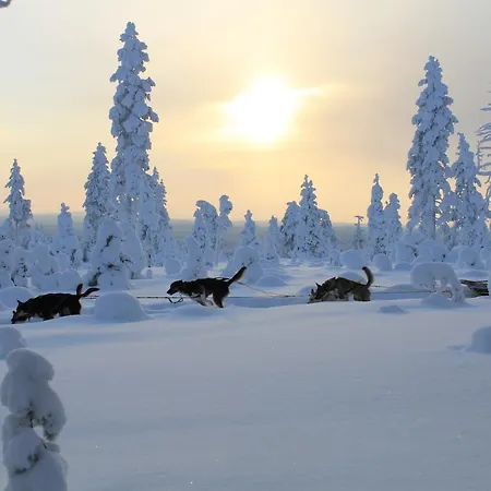 Riverside Διαμέρισμα Ροβανιέμι