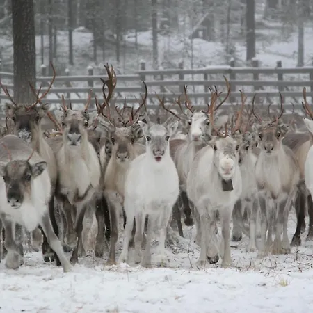 Διαμέρισμα Riverside Ροβανιέμι