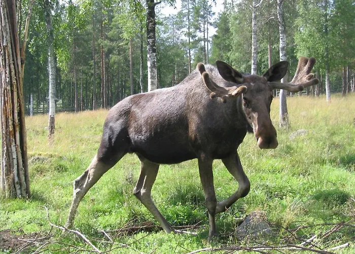 Riverside アパート *