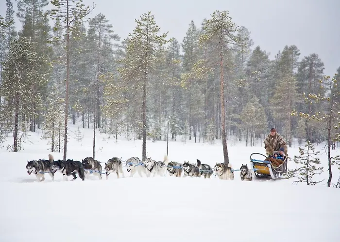 Riverside Apartmán Rovaniemi